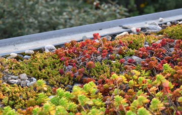 the cost of Scremerston green roof installation