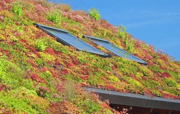 Scremerston living roof systems