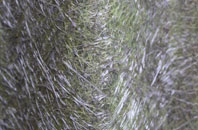 Scremerston fibreglass roof work